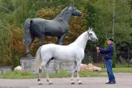 Гороскоп 2012 г.р.